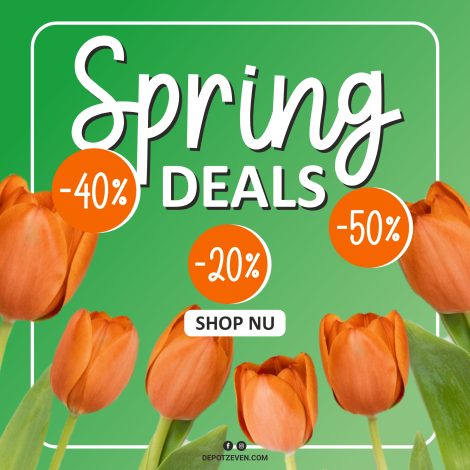 Spring_Deals_Website